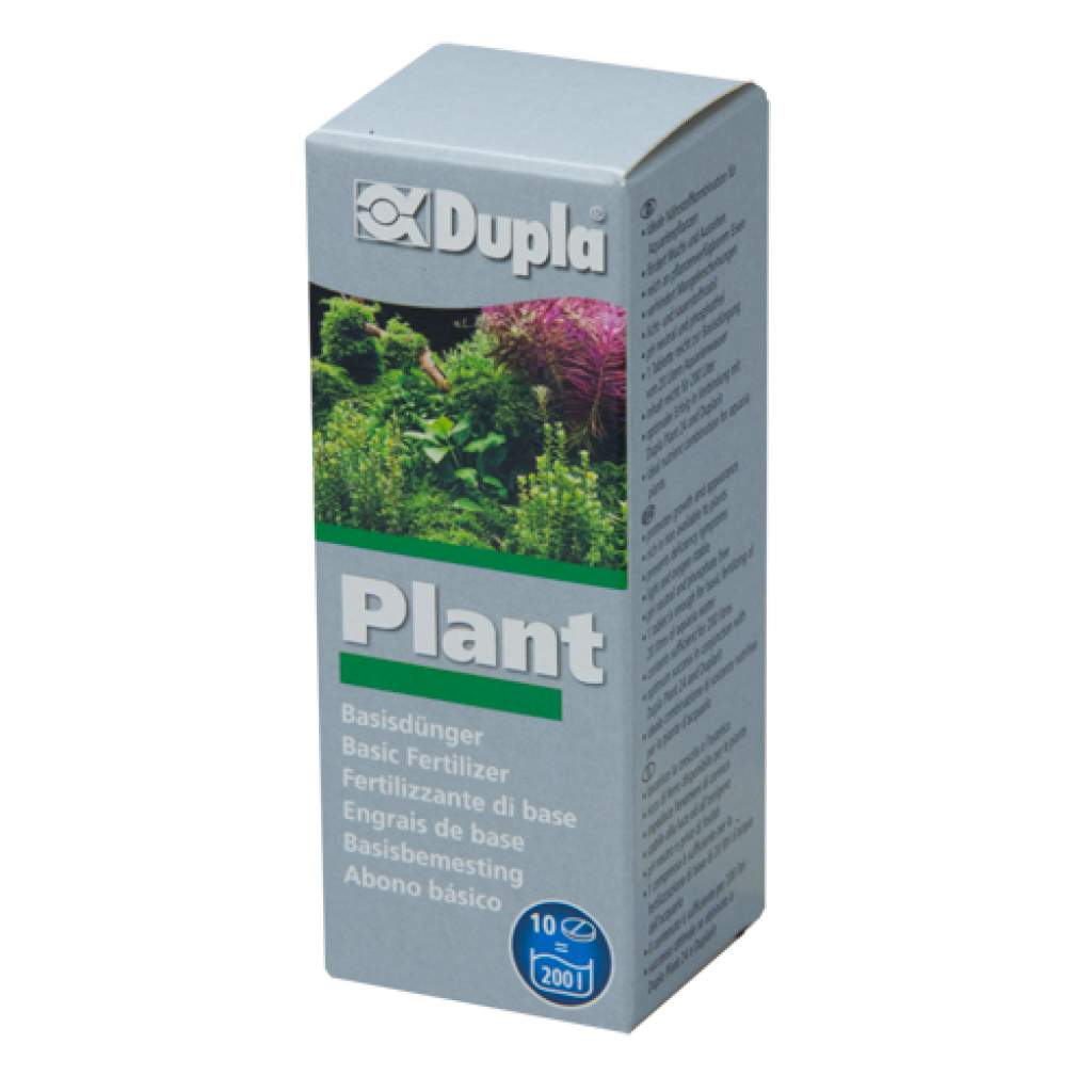 Plant basic